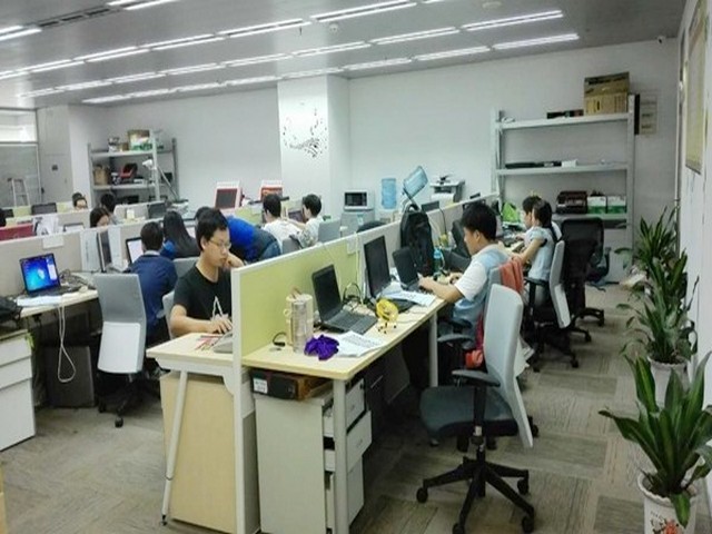 果园爬山虎专业厂家